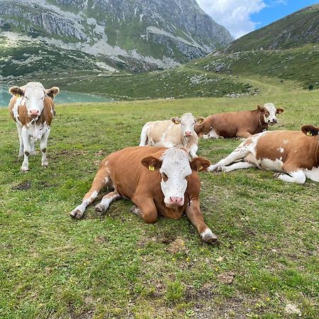 Ferienhof Bichlhof Arzl im Pitztal Habitación foto